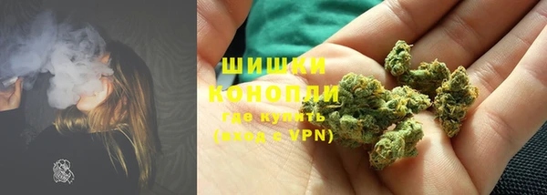 эйфоретик Белокуриха