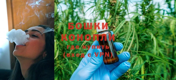 эйфоретик Белокуриха